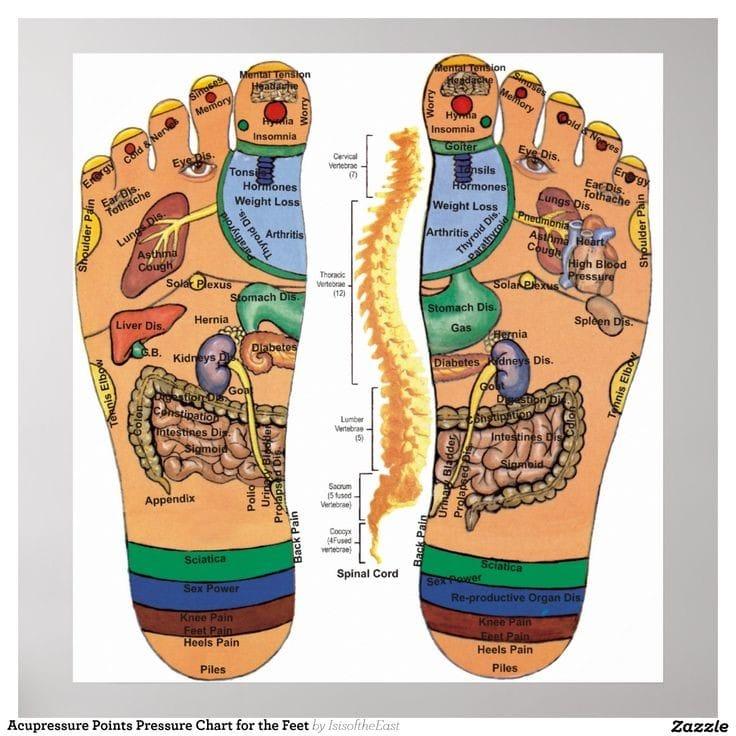 Reflexology